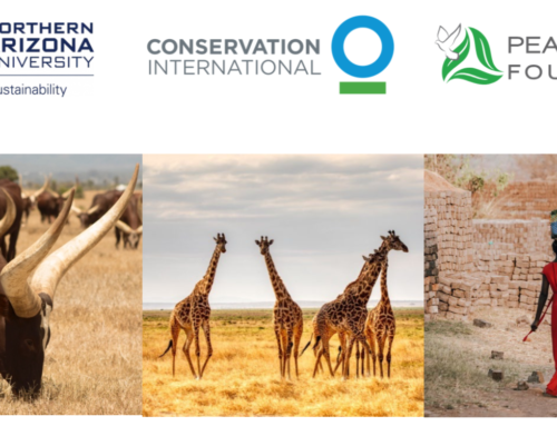 CALL FOR APPLICATIONS: Unique PhD opportunity at Northern Arizona University examining the interface of conservation, rangeland restoration, and rural development in Africa.